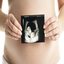 Ultrasound and pregnancy app